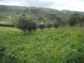 Azienda Agricola in Toscana - 農場在托斯卡納